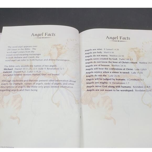 The Angel Bible (King James Version) - Hardcover, PRE-OWNED - Picture 7 of 10